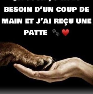 Meet your Posher, Guylaine